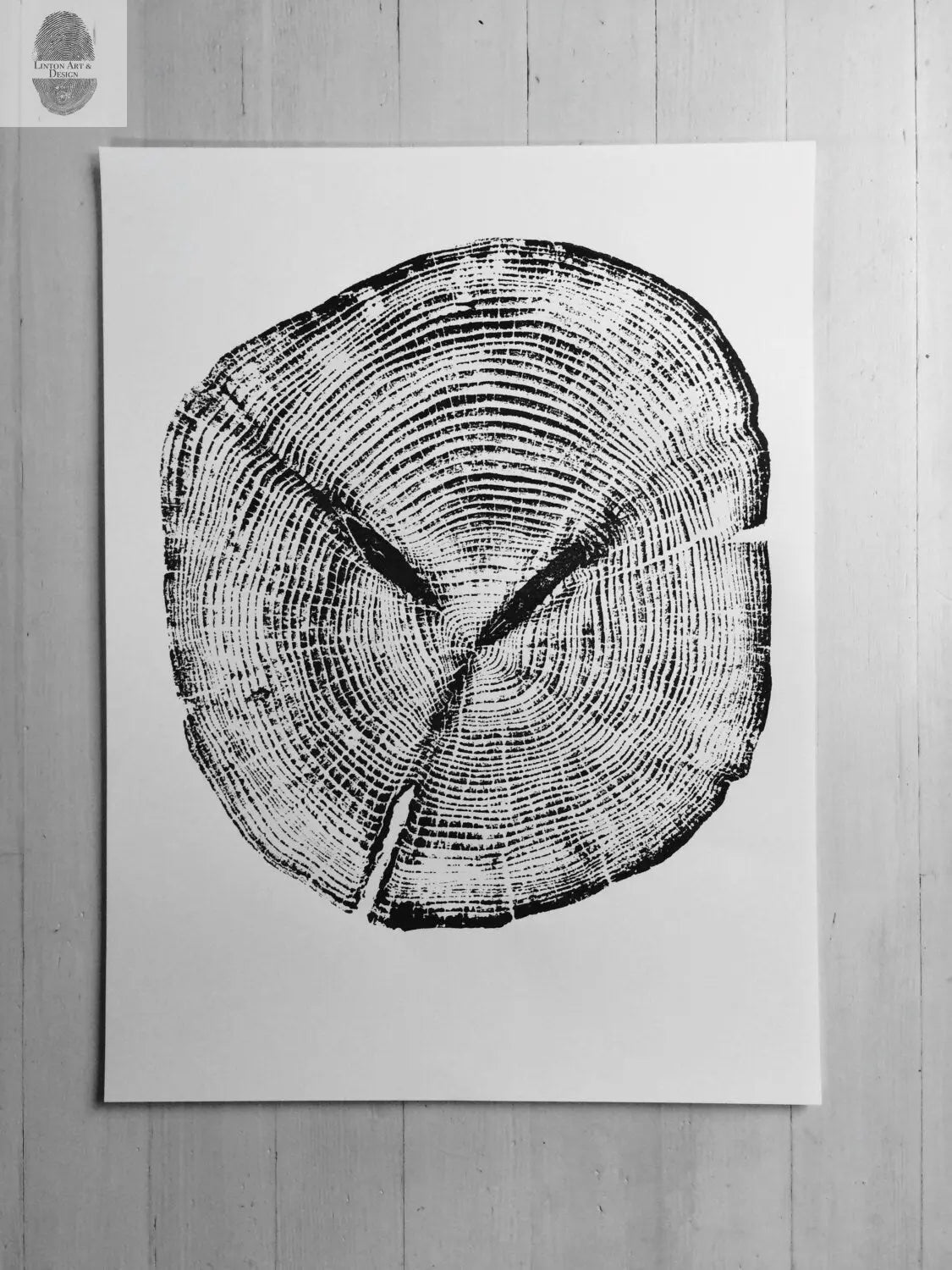 Alaska Cedar, Alaska Art, Denali, Shabby Tree, Tree Ring Print, Forager
