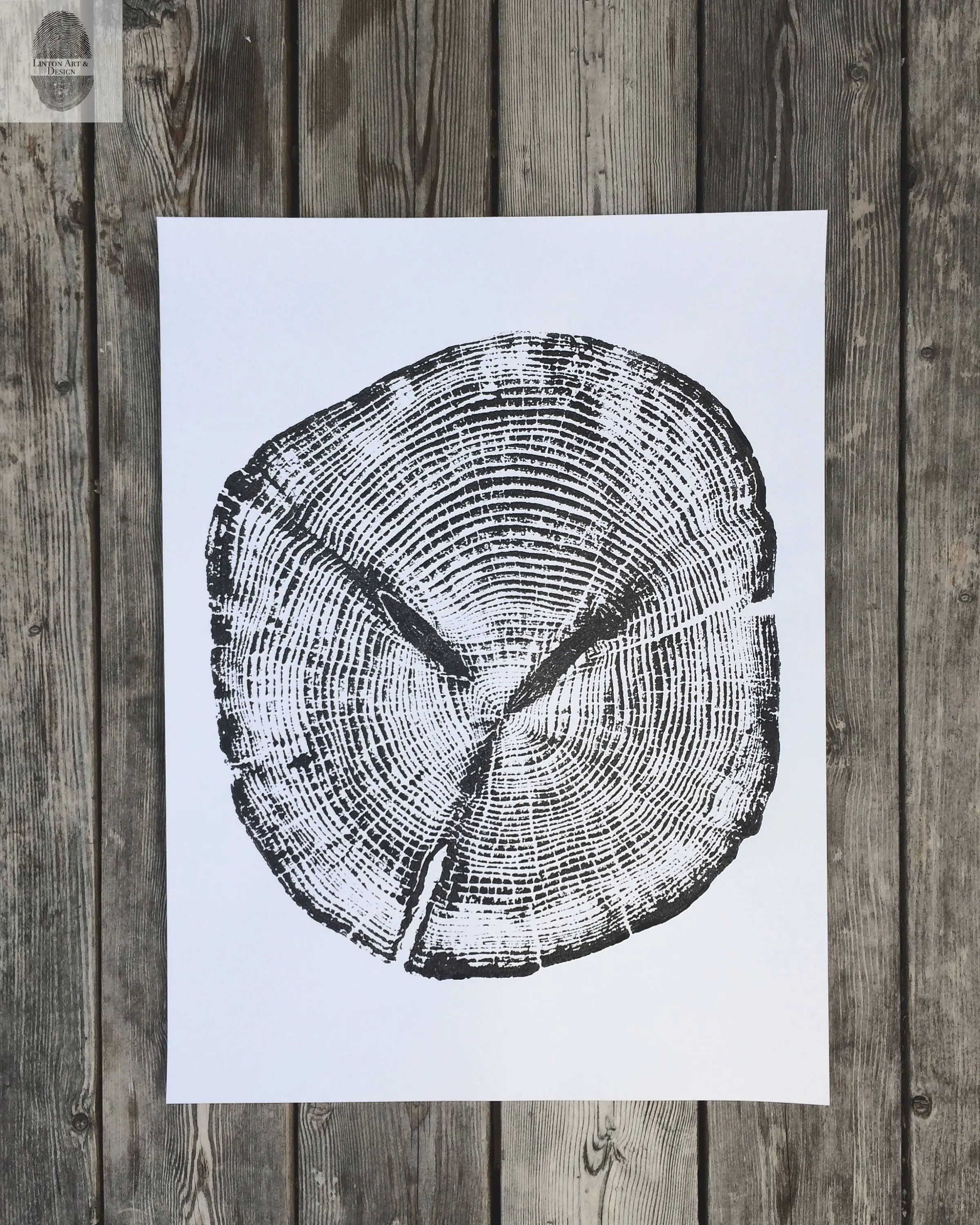 Alaska Cedar, Alaska Art, Denali, Shabby Tree, Tree Ring Print, Forager