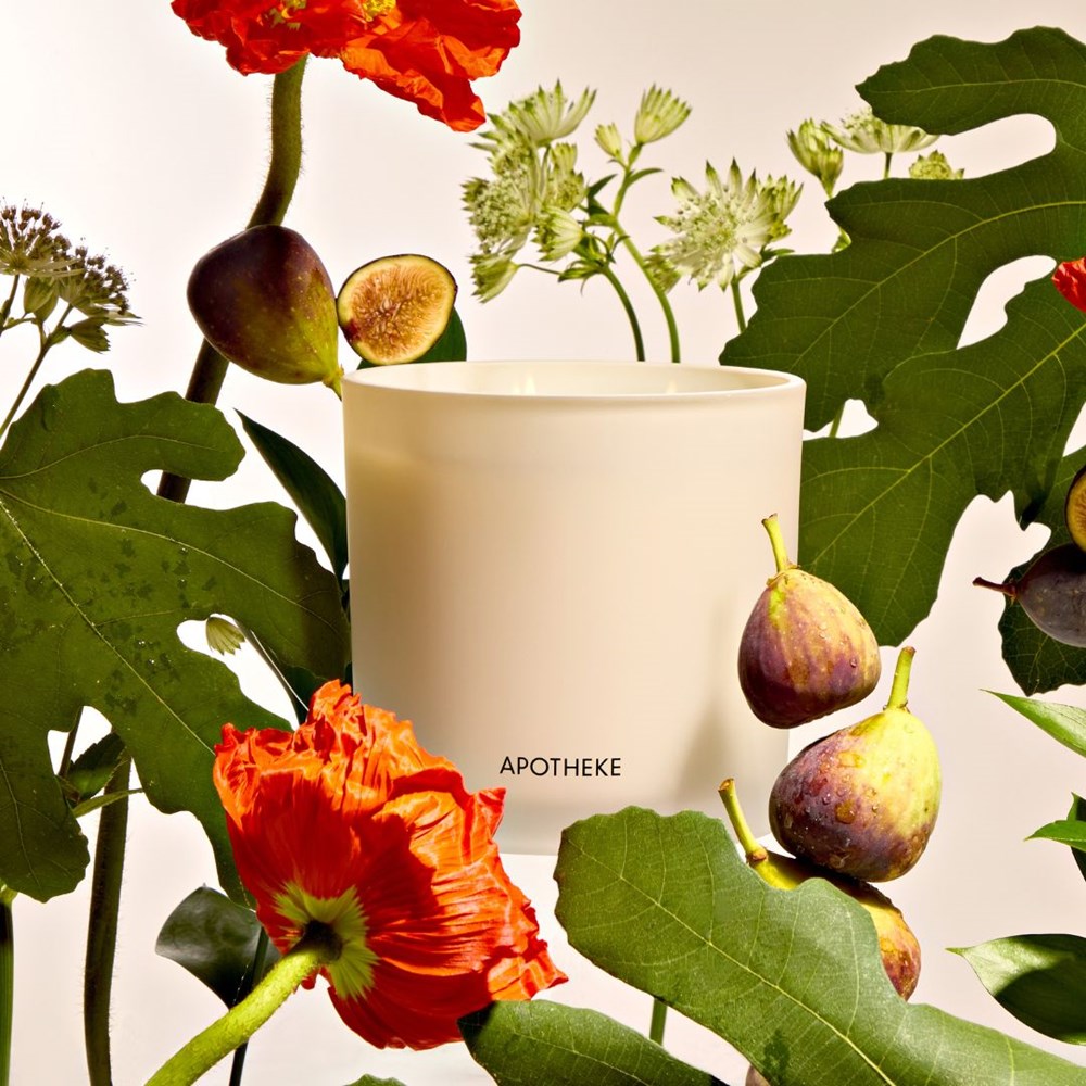 Fig and Olive Leaf 3-Wick Candle