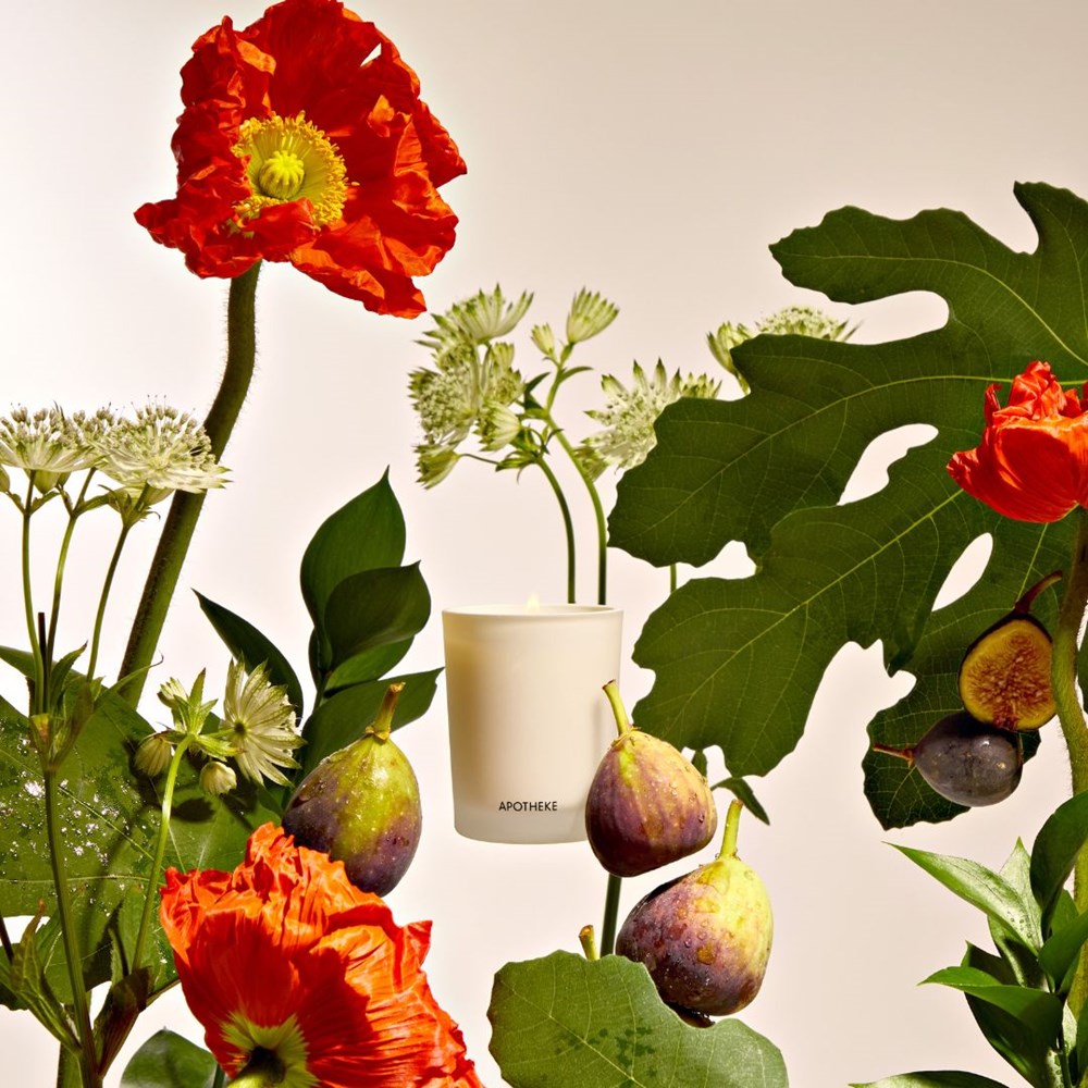 Fig and Olive Leaf Votive Candle