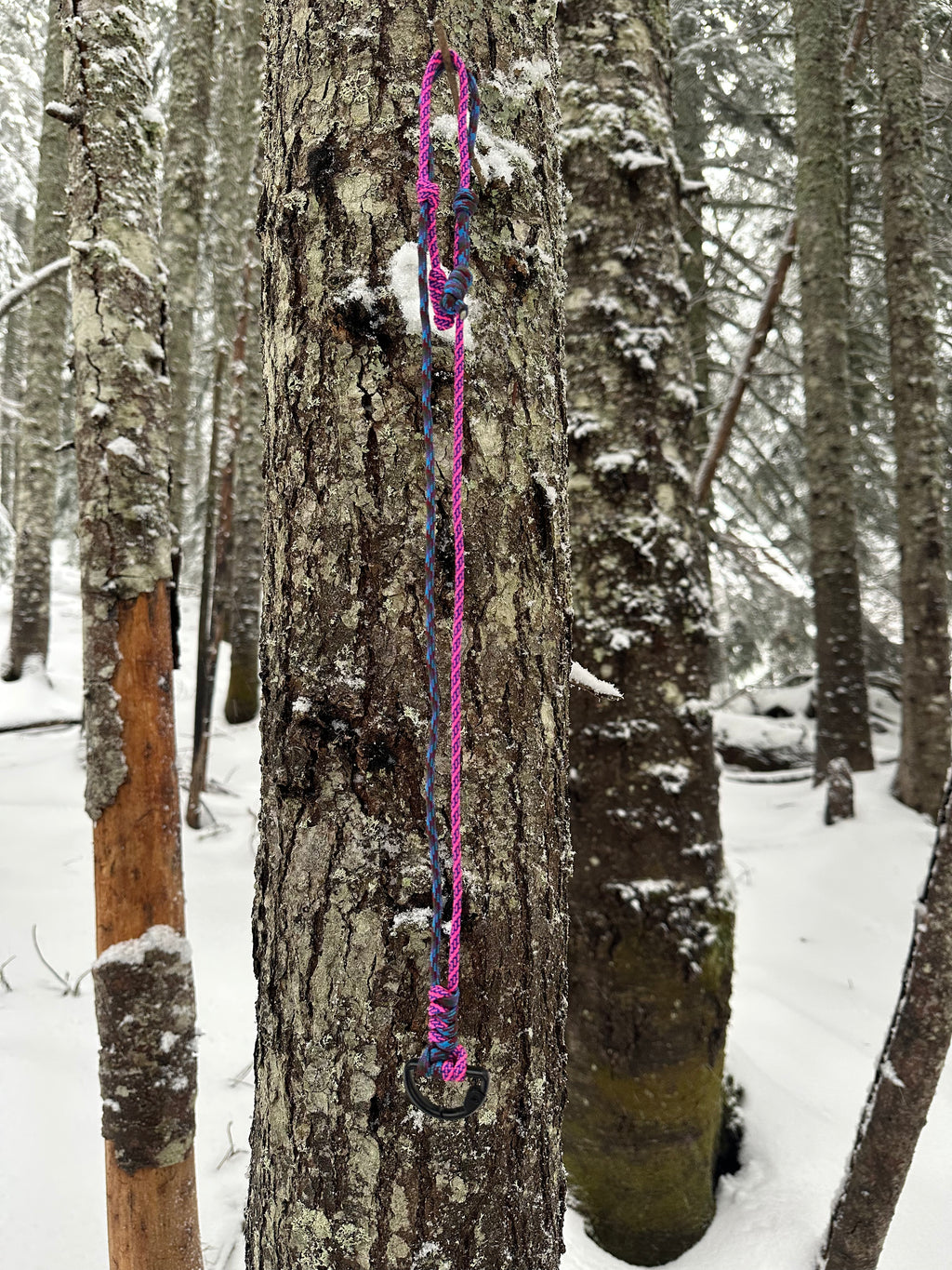 Outdoor Lanyard for Season Pass & Keys - Nature vs Tech | Hyak General Store