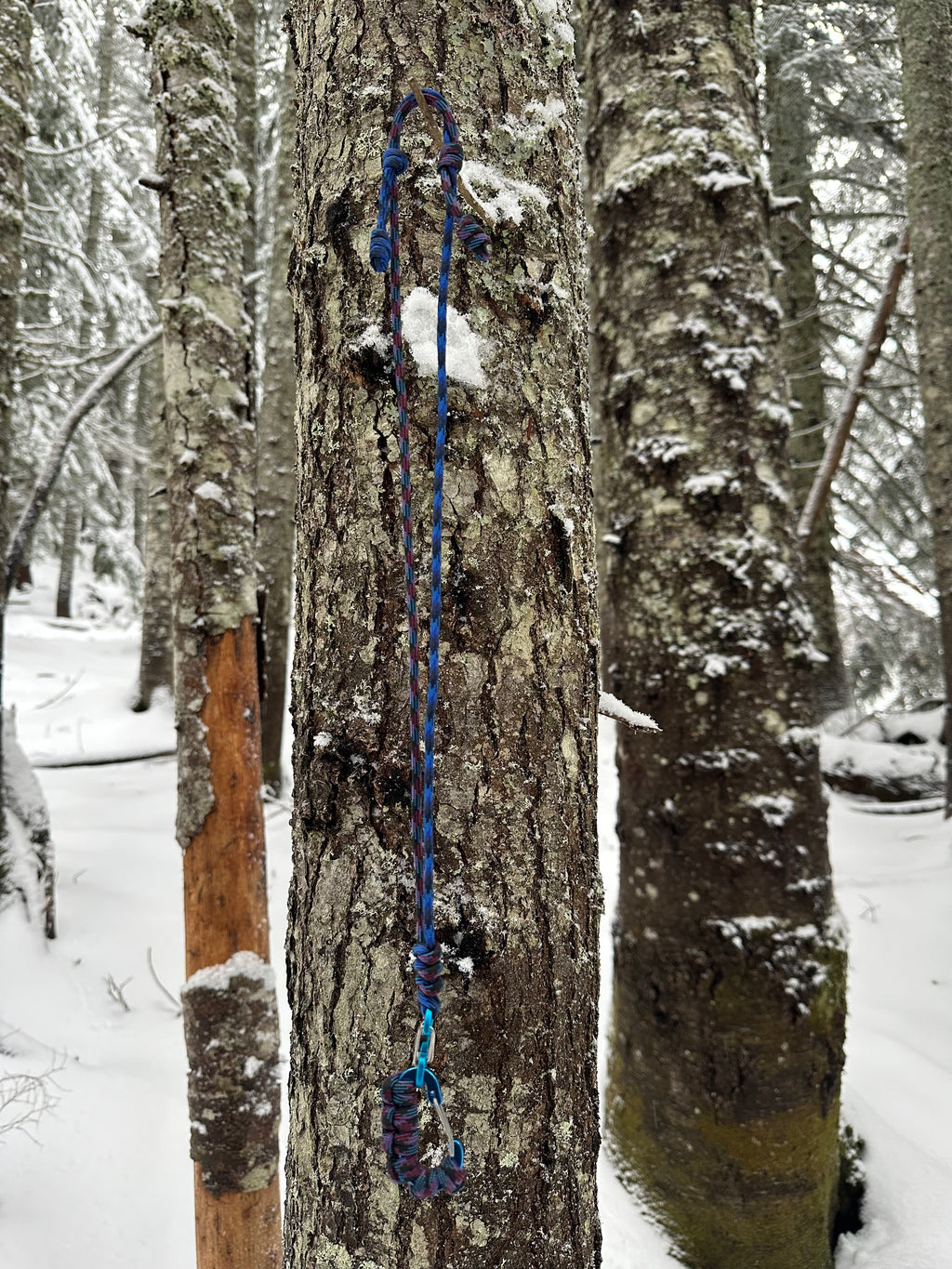 Outdoor Lanyard for Season Pass & Keys - Nature vs Tech | Hyak General Store