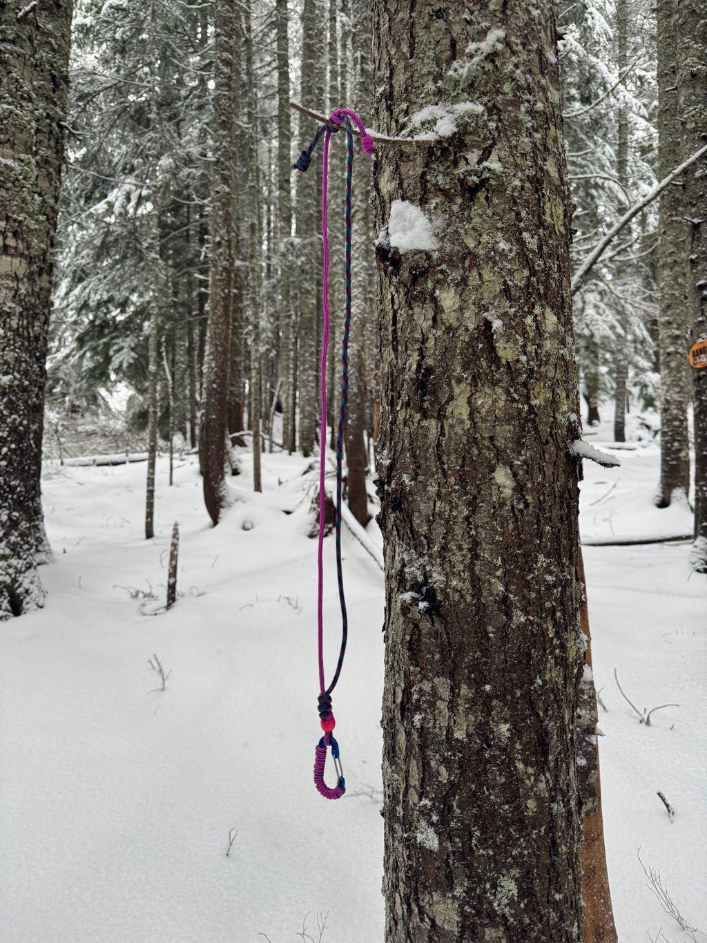Outdoor Lanyard for Season Pass & Keys - Nature vs Tech | Hyak General Store