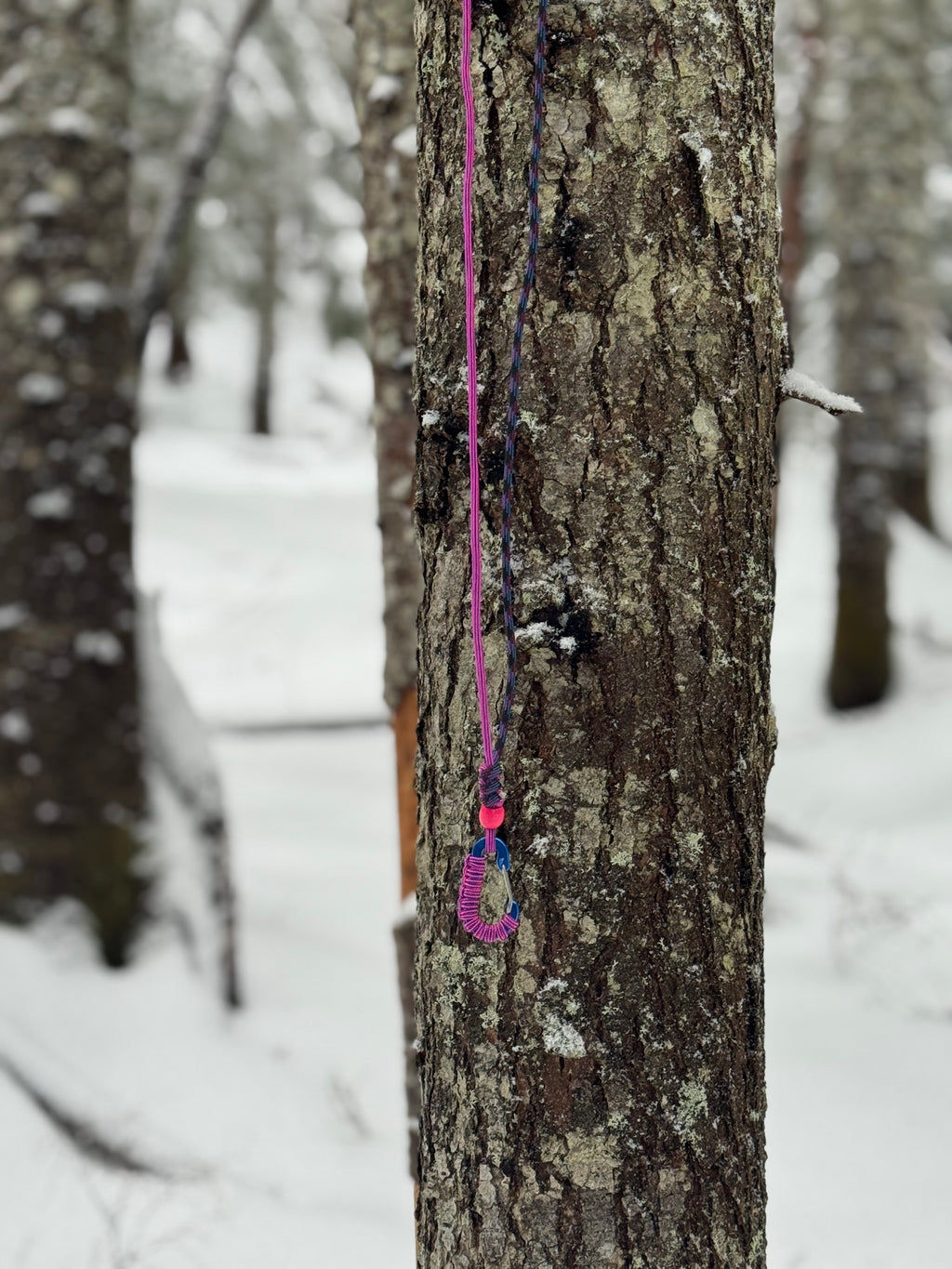 Outdoor Lanyard for Season Pass & Keys - Nature vs Tech | Hyak General Store