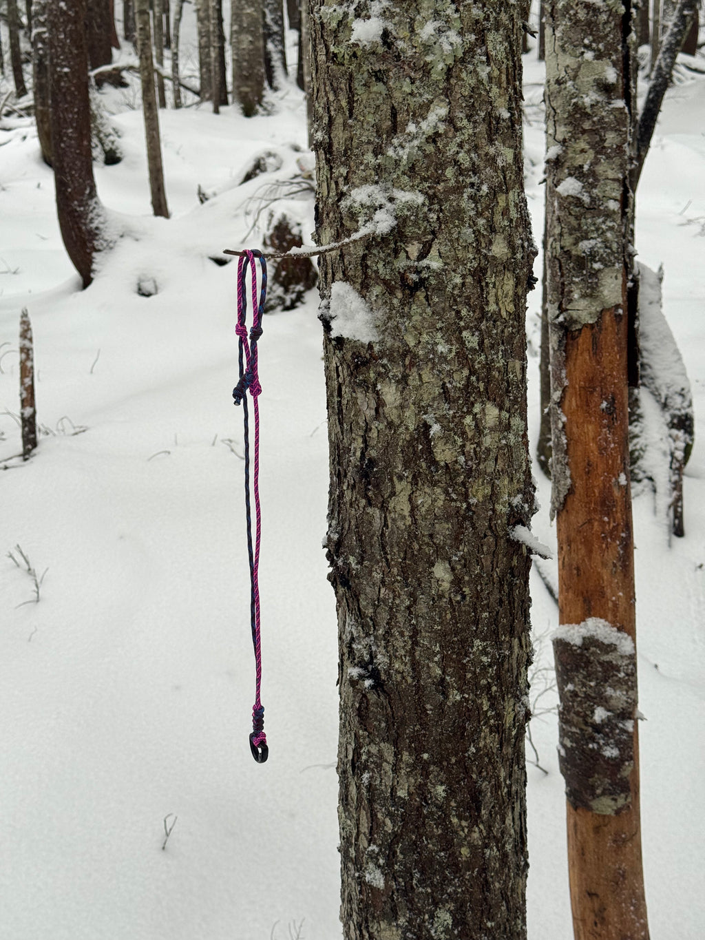 Outdoor Lanyard for Season Pass & Keys - Nature vs Tech | Hyak General Store