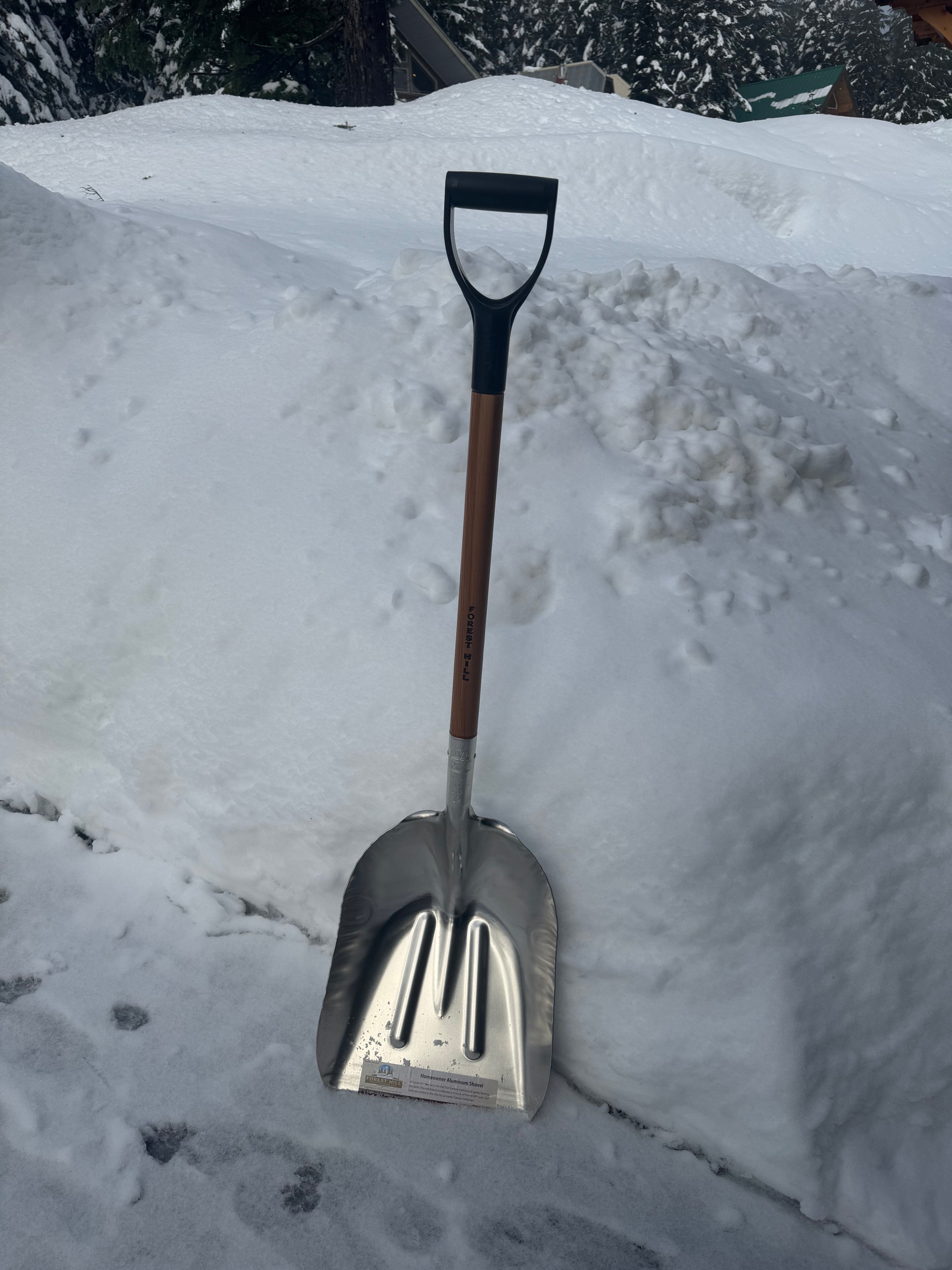 Forest Hill General Purpose Homeowner Shovel