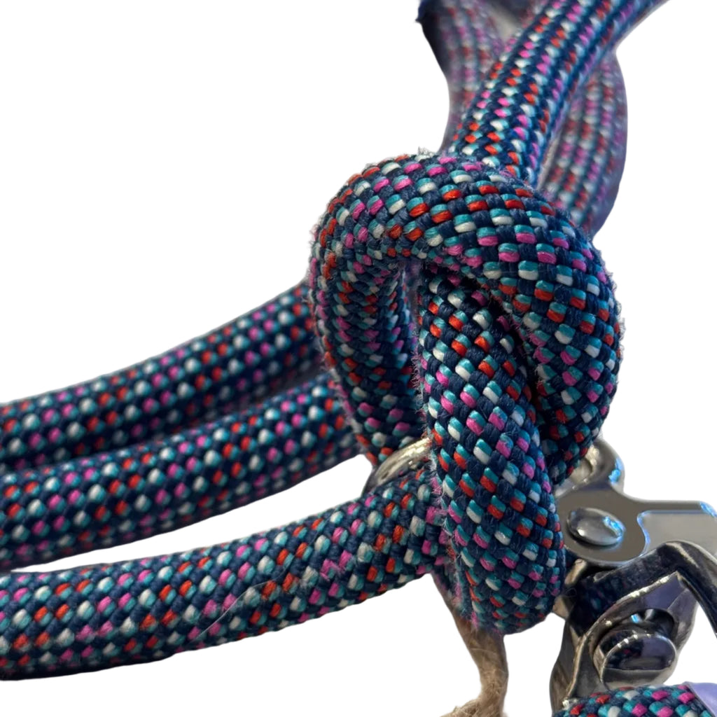 Reclaimed Climbing Rope Dog Leash - 6'