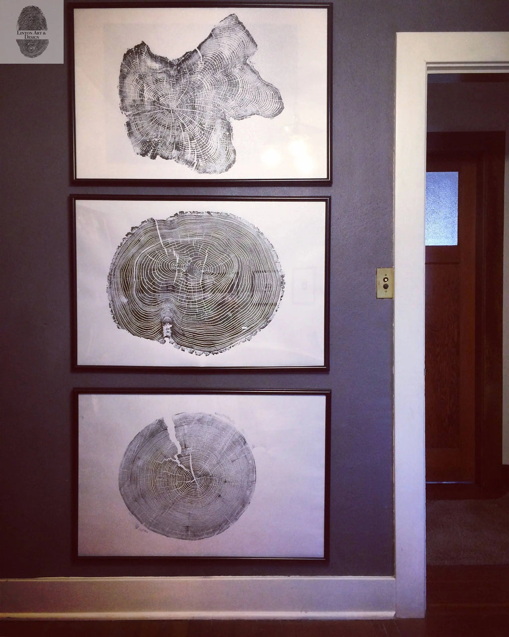 Ohio State, Ash Tree, Tree ring print, woodcut print, Lumber, Live edge, Biology Gifts, Arborist, Signed Original - 24x36 print