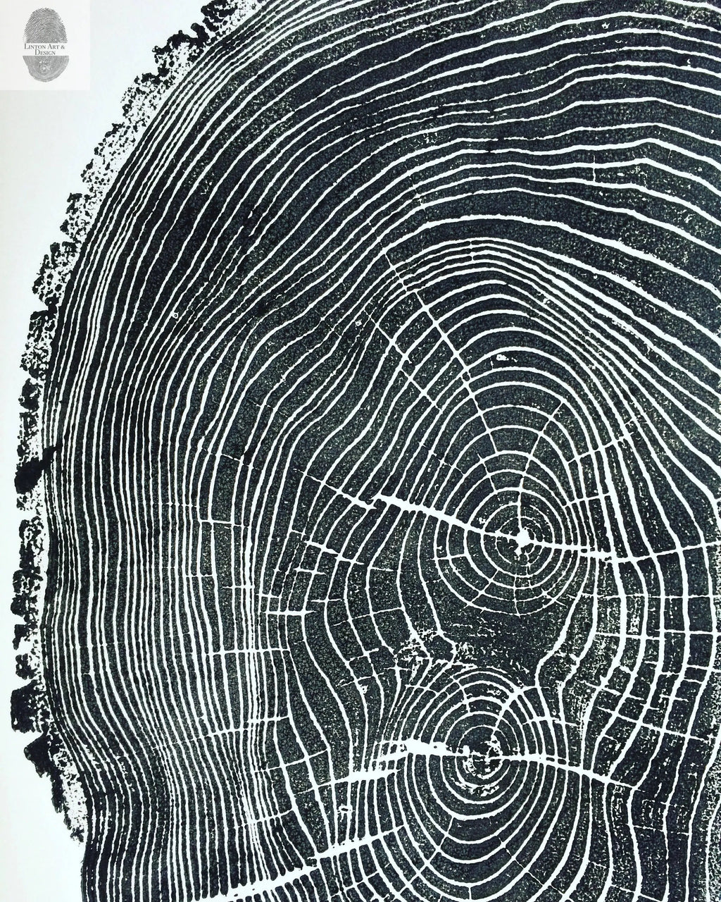Ohio State, Ash Tree, Tree ring print, woodcut print, Lumber, Live edge, Biology Gifts, Arborist, Signed Original - 24x36 print