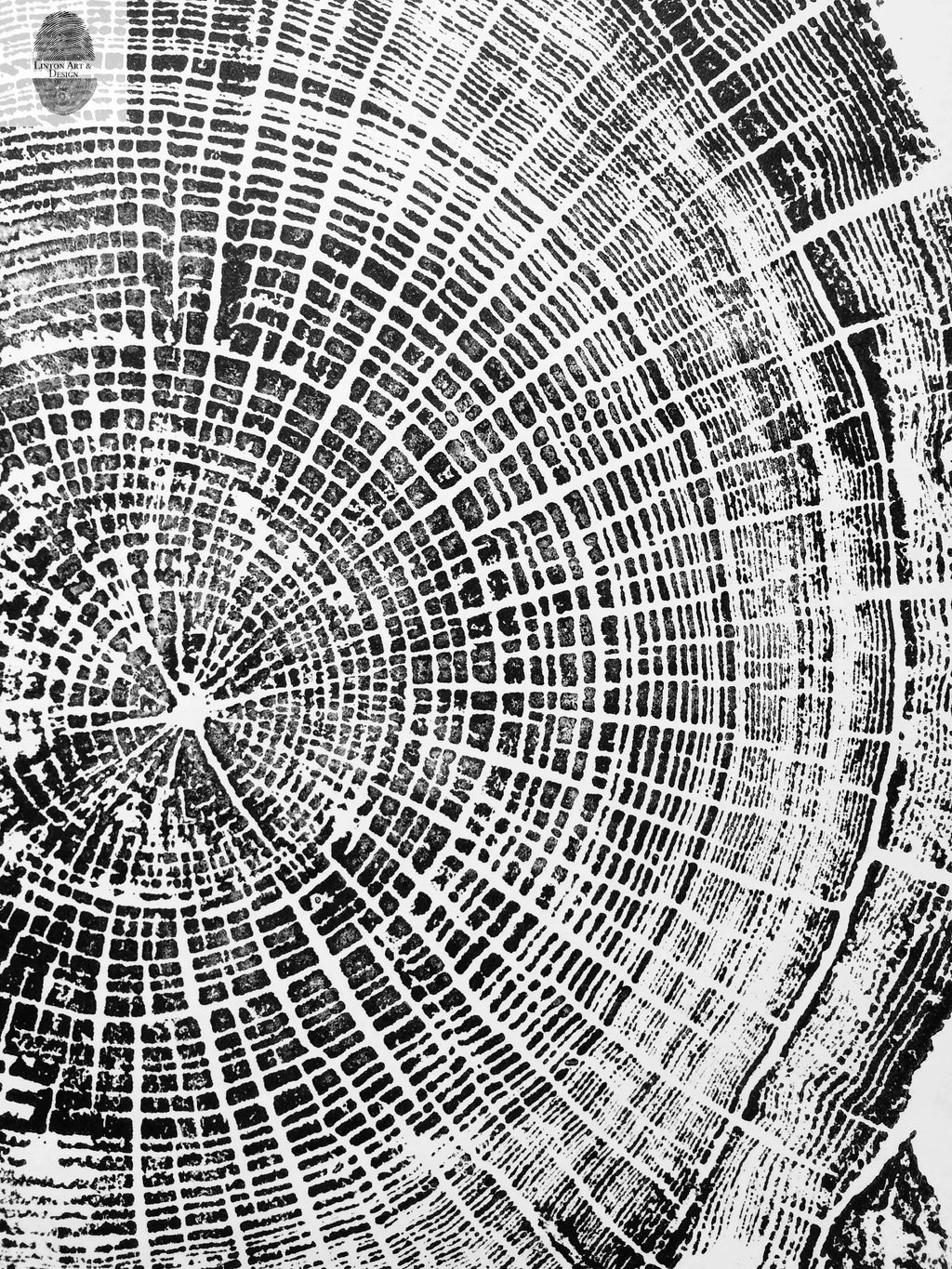 Oregon Coast, Cannon Beach, Driftwood Wall Art, Tree Ring Print, Cascade Mountains, Woodcut Art