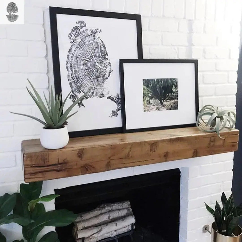 Oregon Coast, Cannon Beach, Driftwood Wall Art, Tree Ring Print, Cascade Mountains, Woodcut Art