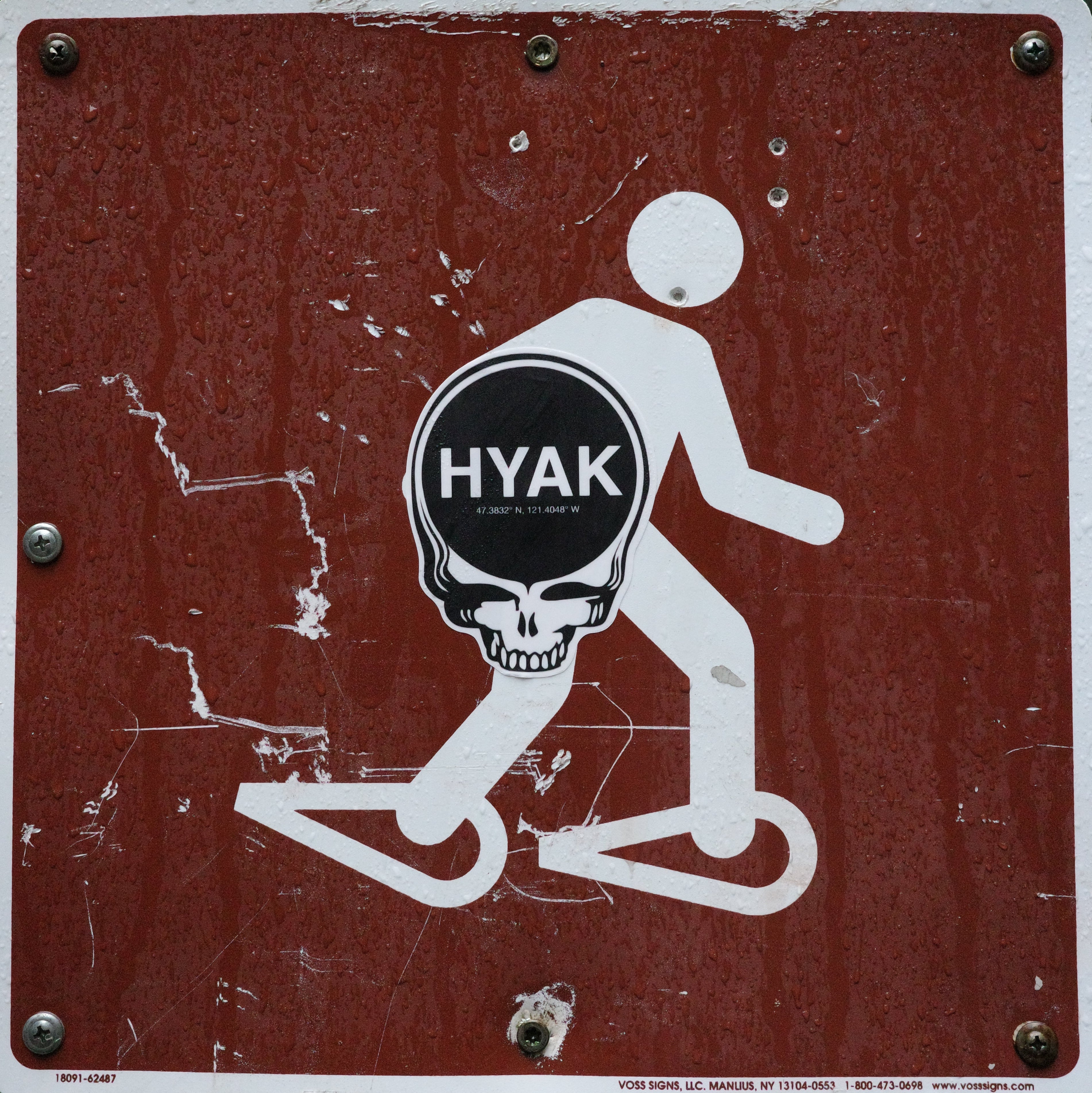 Hyak Face Sticker - Large