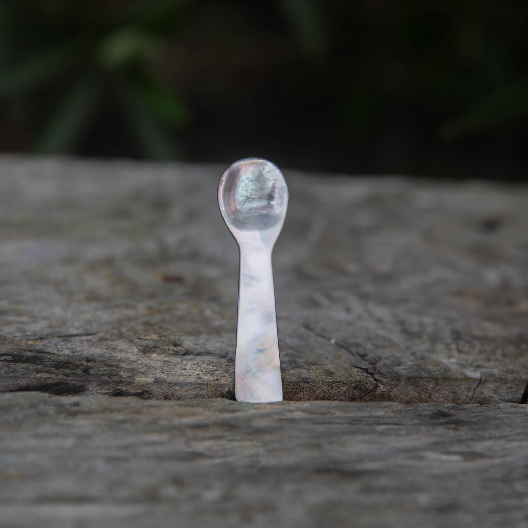 Honey Mask + Mother of Pearl Spoon