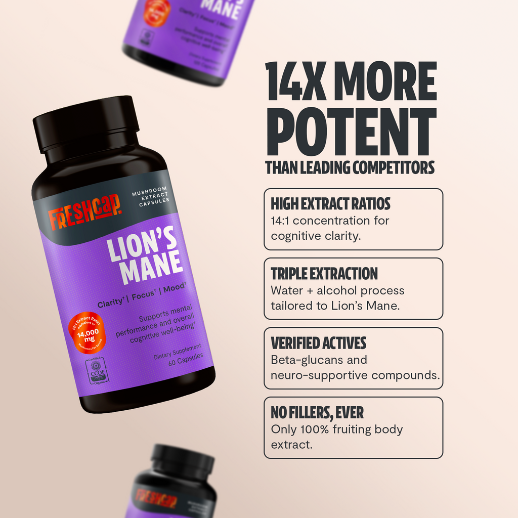Lion's Mane Mushroom Extract Capsules