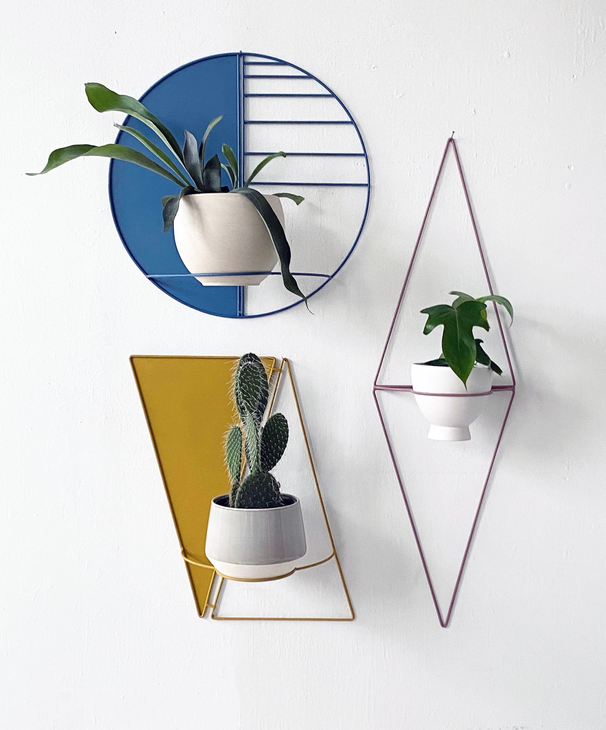 Sunset Circle Wall Planter