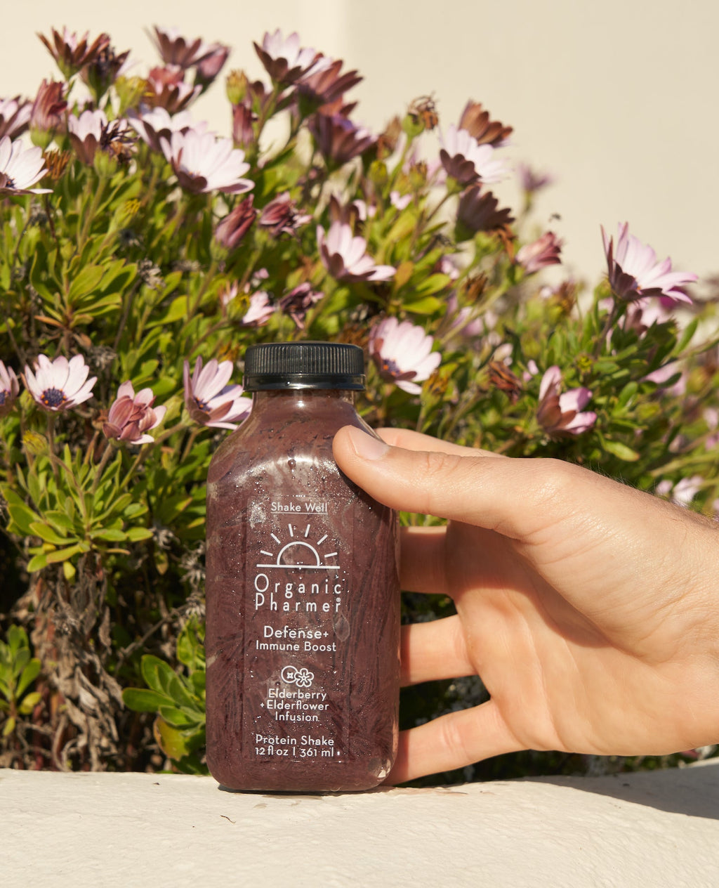 Defense+ Protein Shake Packs - Wellness Boosters